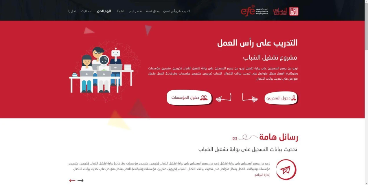 خدمات توظيف الشباب PPMIS