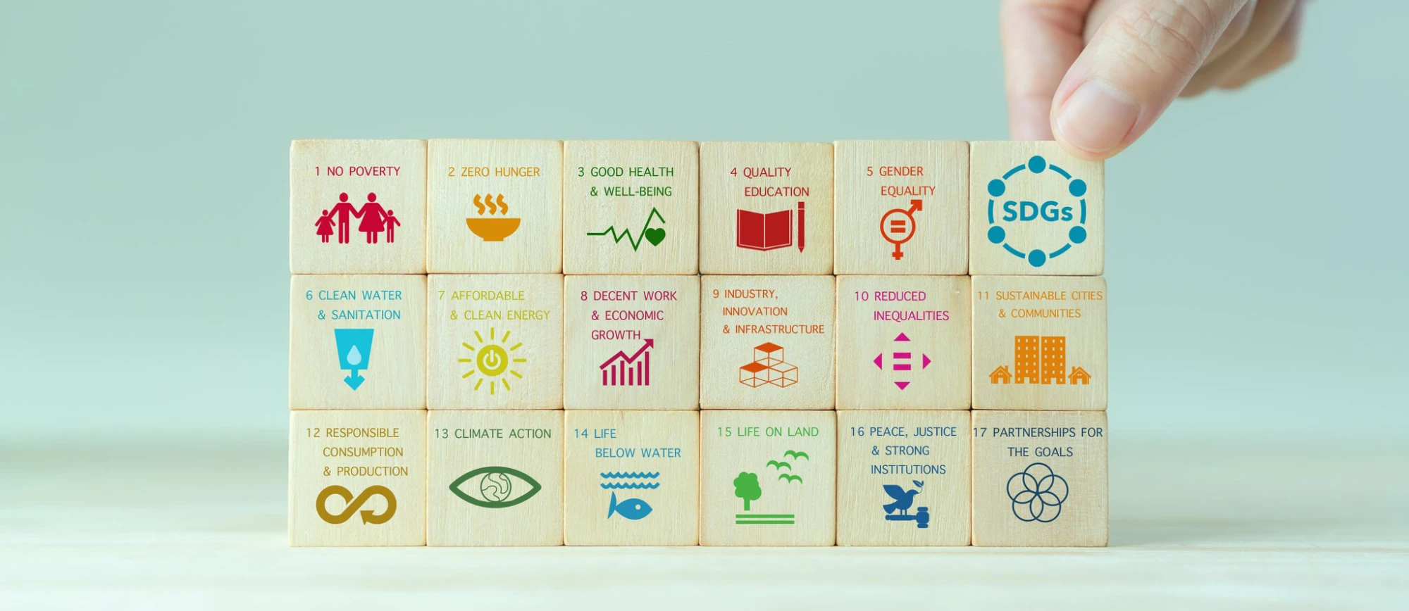 The Sustainable Development Goals (SDGs) Platform