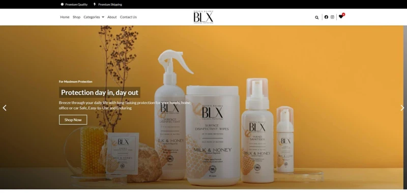 BLX Advisory Group Website